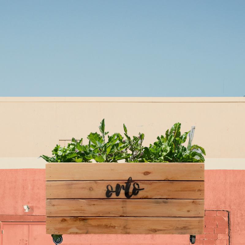 Orto Self-watering Planter Boxes