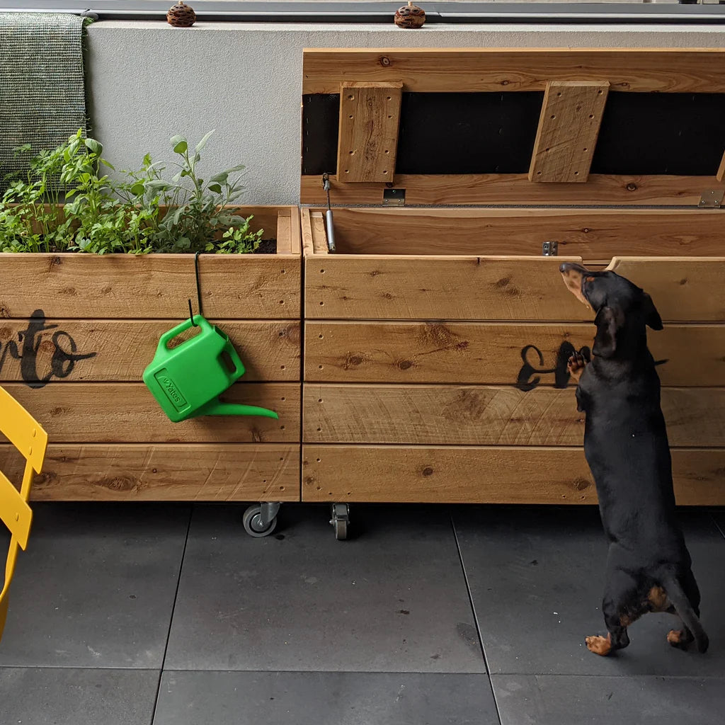 cypress storage box
