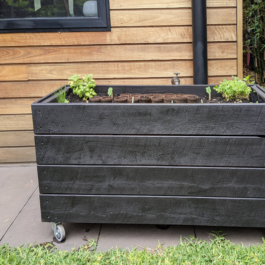 Painted Garden box on rough sawn cypress timber