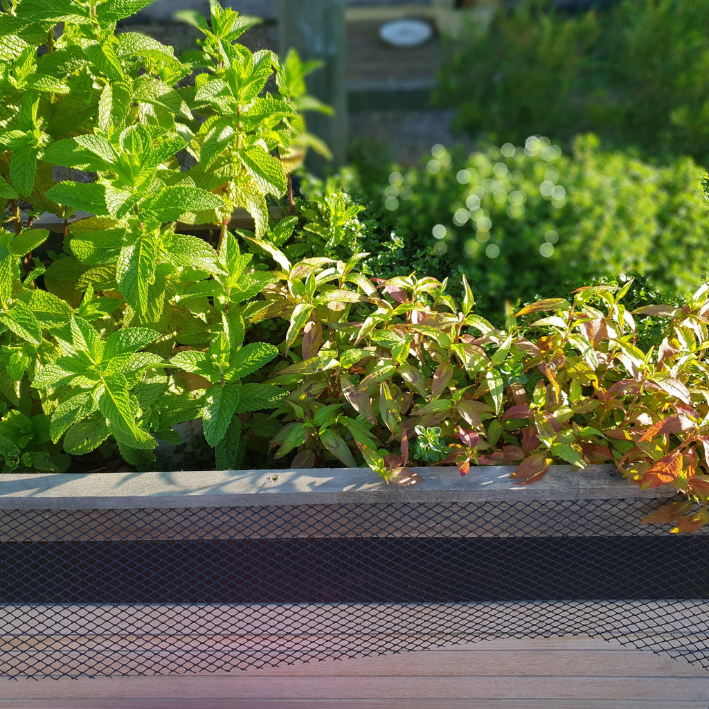 ORTO Self Watering Planter Box 120 x 42 x 60cm