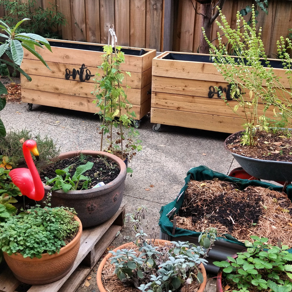Outdoor timber planter wicking bed veggie garden in Melbourne.