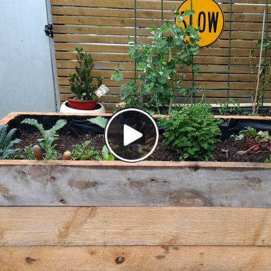 Building a custom raised wicking bed from cypress planks